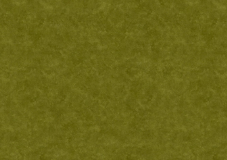Swamp texture