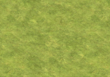 Grassland texture
