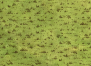 Grass Overlay texture