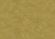 Wild Plains texture